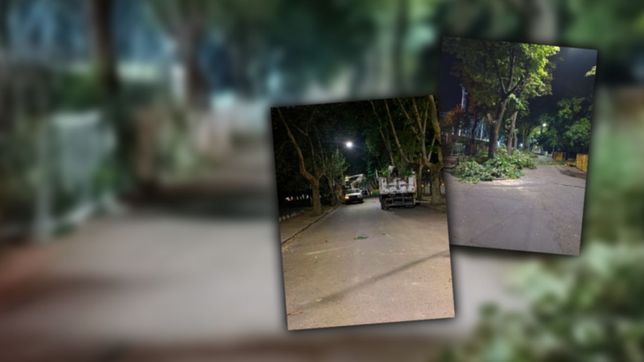 gimnasia podo el bosque para cumplir con la aprevide