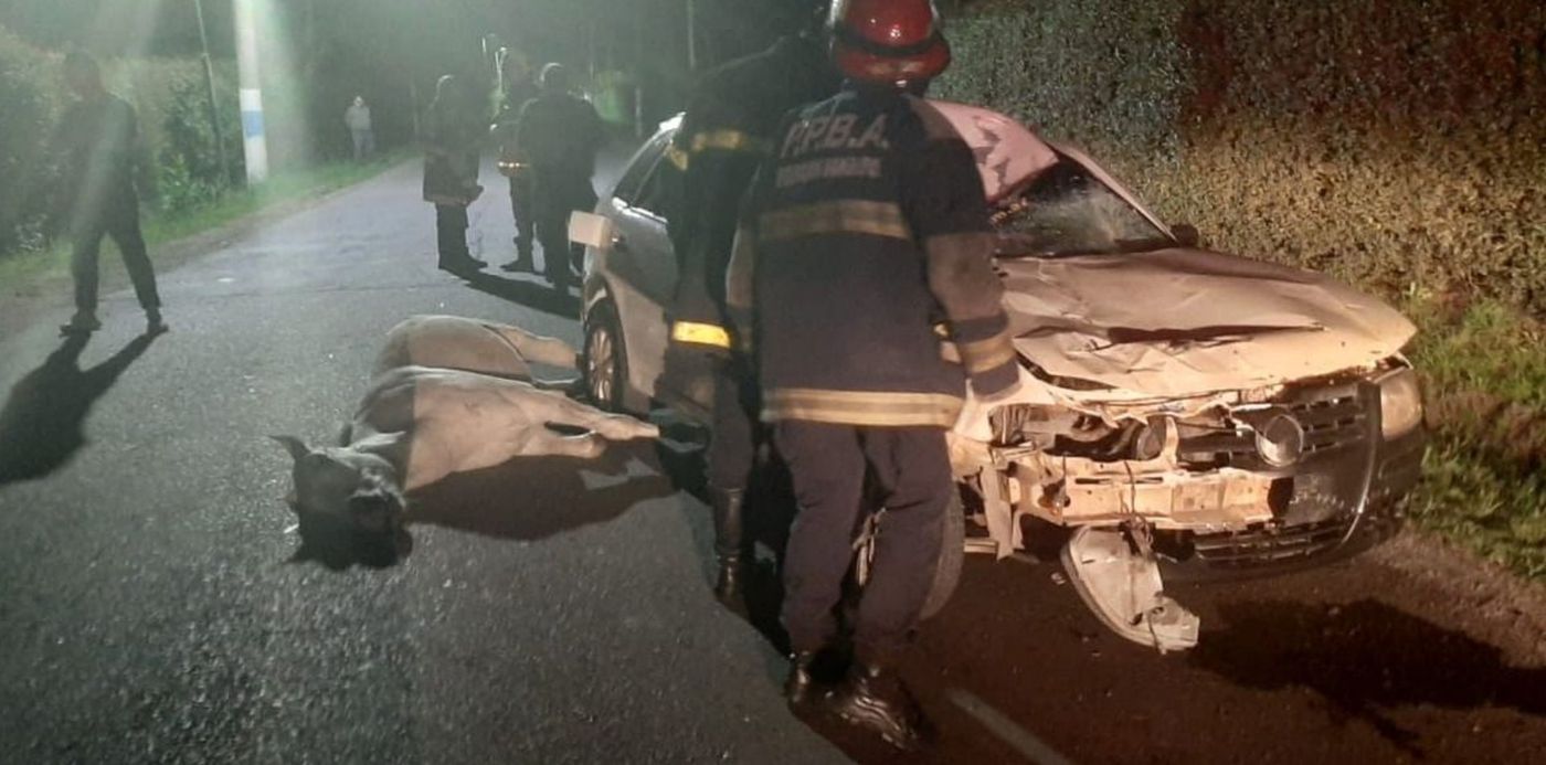 1602192042807.jpeg?x=9&y=3&width=1108&height=554&rotate=0&scaleX=1&scaleY=1&ow=1123&oh=590&&cw=1920&ch=950