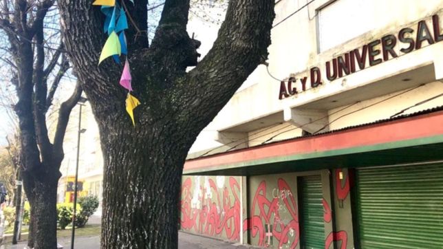el club universal de la plata contra las cuerdas: si seguimos asi, podemos cerrar