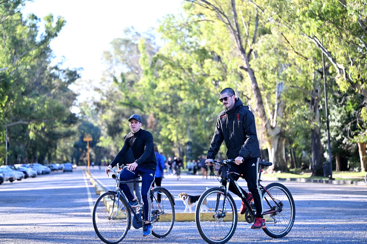 La ONG Nuevo Ambiente pide al municipio que cumpla con la ley para proteger el Paseo del Bosque.