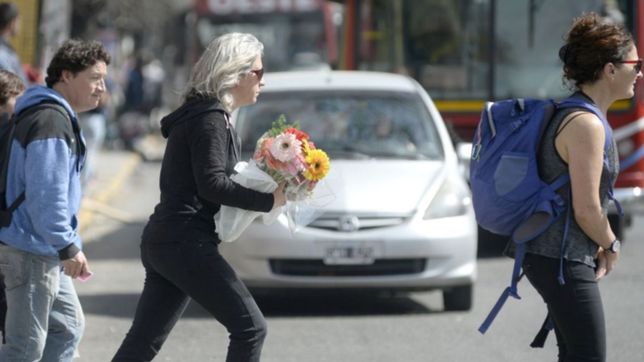 soleado, temperatura agradable y vientos: el clima durante la semana en la plata