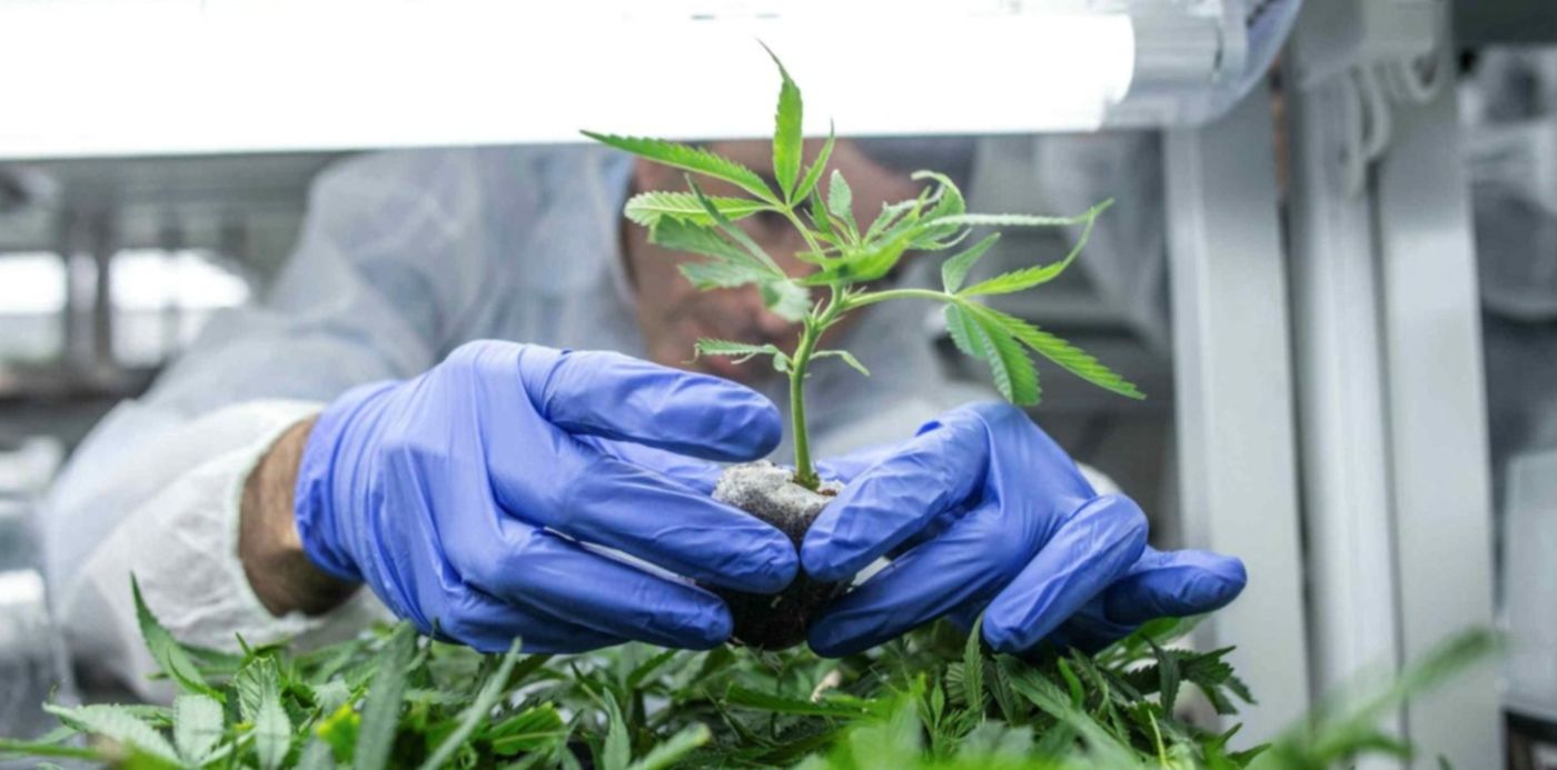 1568645583454.jpg?x=3&y=73&width=1489&height=745&rotate=0&scaleX=1&scaleY=1&ow=1500&oh=1000&&cw=1920&ch=950