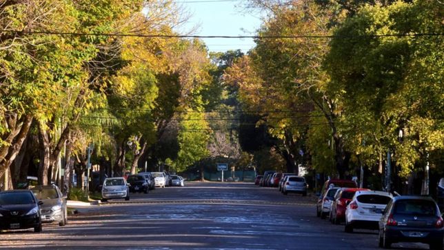 clima en la plata: el feriado comienza fresco y con cielo despejado, pero por la tarde aumenta la nubosidad