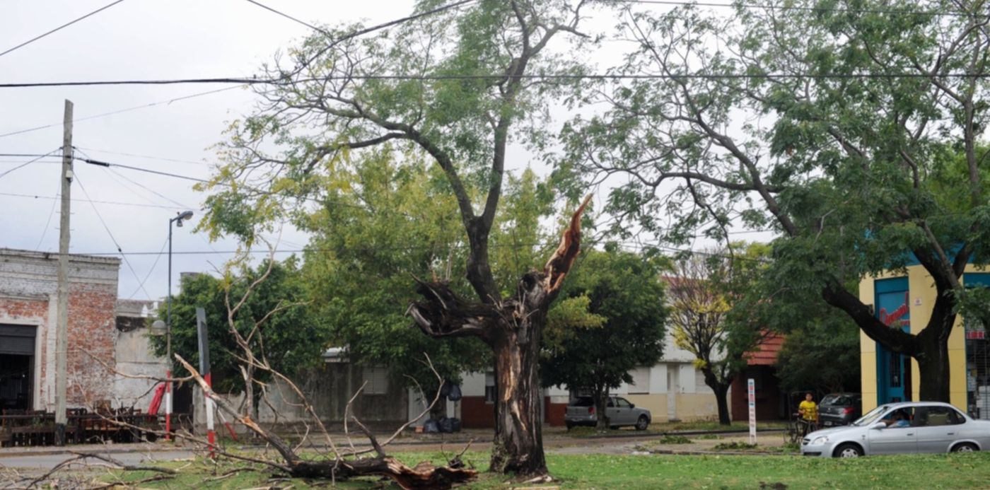 1550944626568.jpg?y=133&rotate=0&scaleY=1&ow=1500&oh=998&x=0&width=1496&height=748&scaleX=1&&cw=1920&ch=950