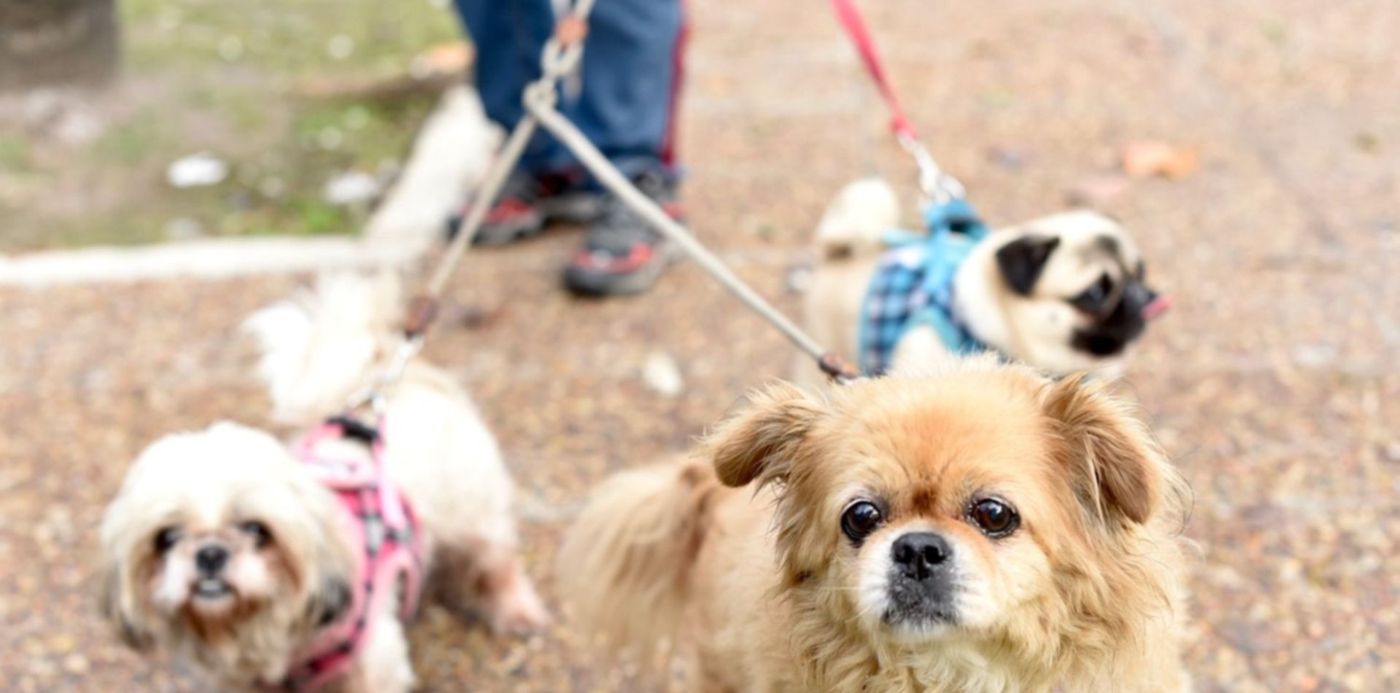 1623708459439.jpg?&cw=1920&ch=950