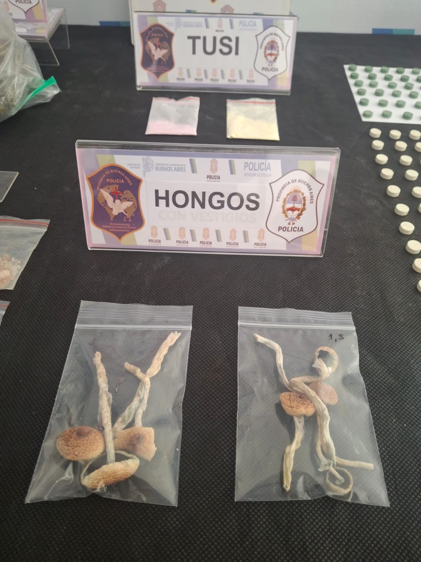 Los hongos alucinógenos hallado por la Policía