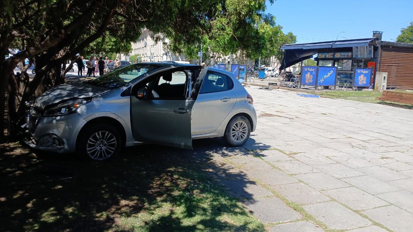 El auto destrozó un sector de El Pulpito de Plaza Moreno de La Plata y terminó a unos 20 metros contra un árbol