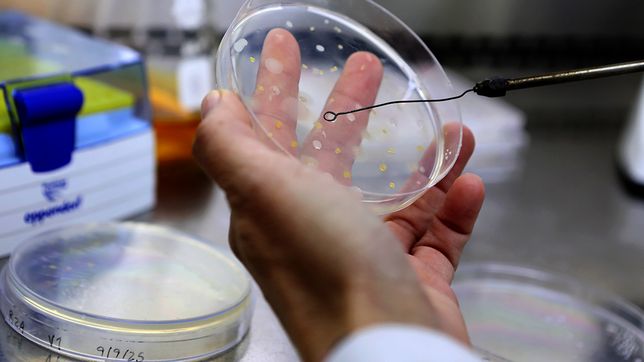 cientificos de la plata desarrollan un dispositivo con inteligencia artificial para detectar hepatitis e