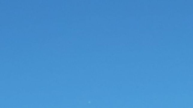 video: investigadores analizan un misterioso objeto que sobrevolo arana