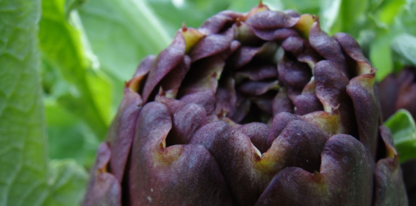 1603499285792.jpg?x=0&y=83&width=1489&height=744&rotate=0&scaleX=1&scaleY=1&ow=1500&oh=1125&&cw=1920&ch=950