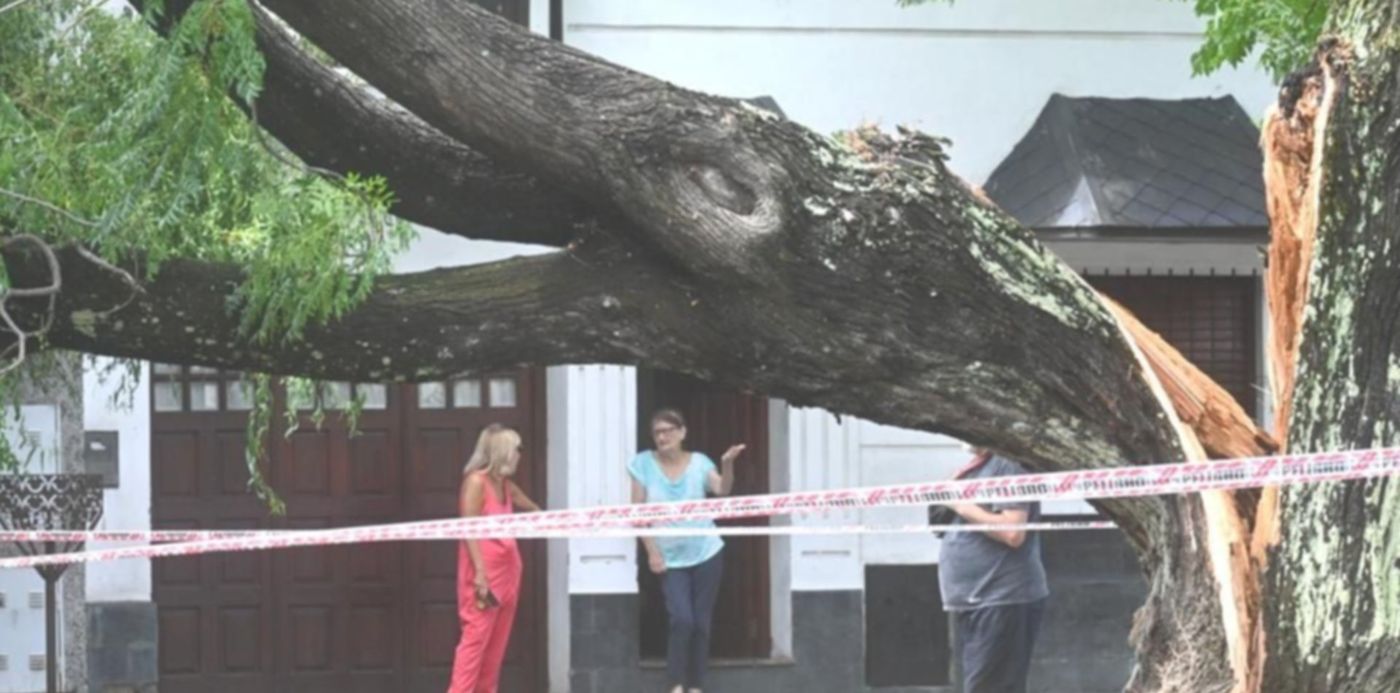 1642347193149.jpeg?x=11&y=46&width=1002&height=500&rotate=0&scaleX=1&scaleY=1&ow=1024&oh=683&&cw=1920&ch=950