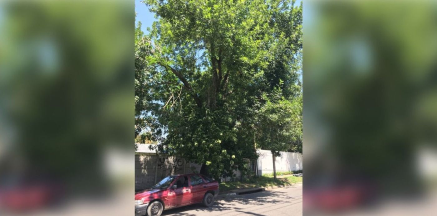 1549818467702.jpg?x=8&width=1484&height=742&scaleY=1&ow=1500&y=0&rotate=0&scaleX=1&oh=742&&cw=1920&ch=950