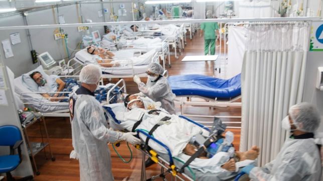 otra jornada de alto nivel de contagio en la plata: 447 contagios nuevos