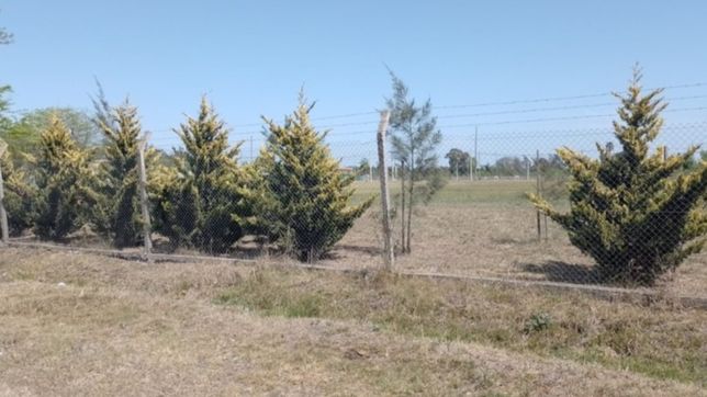 denunciaron a empresas de la plata por alambrar espacios reservados para calles publicas