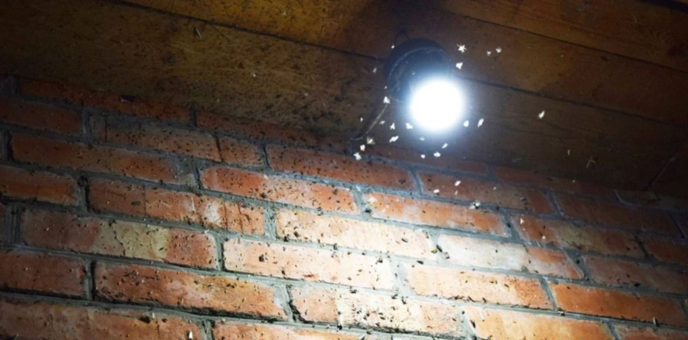 1549900415343.jpg?rotate=0&scaleX=1&scaleY=1&ow=1500&y=0&width=1466&height=733&x=18&oh=742&&cw=1920&ch=950