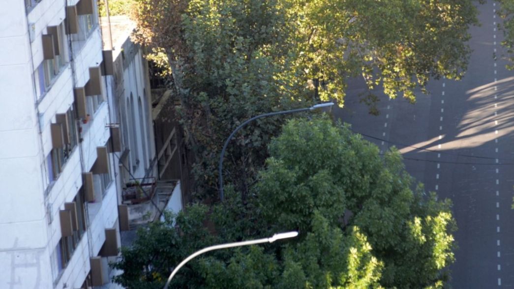 Coronavirus: el aislamiento social seguiría hasta mediados de abril