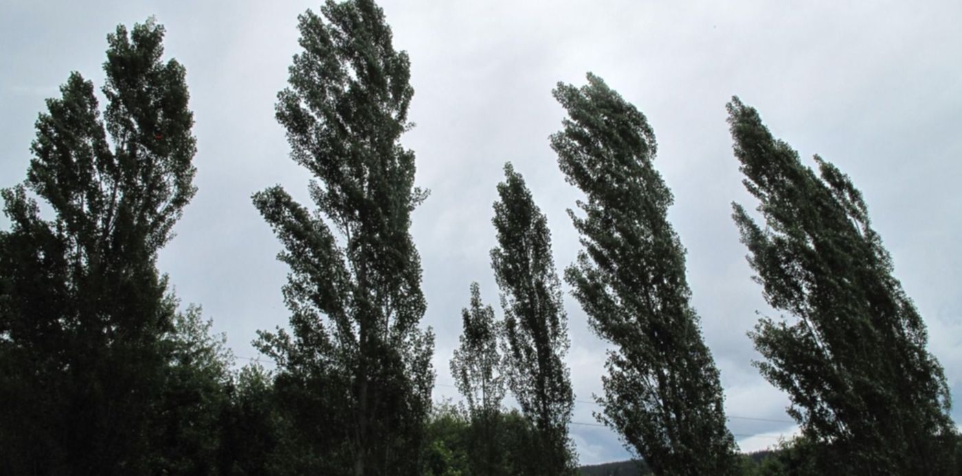 1641937869315.jpg?x=10&y=6&width=1486&height=743&rotate=0&scaleX=1&scaleY=1&ow=1500&oh=842&&cw=1920&ch=950