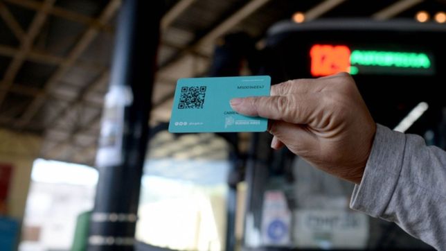 la camara federal de la plata ratifico que el pase sanitario es legal