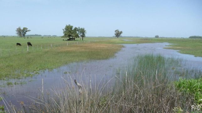 sancionan a una inmobiliaria de la plata por ofrecer a la venta un loteo ilegal