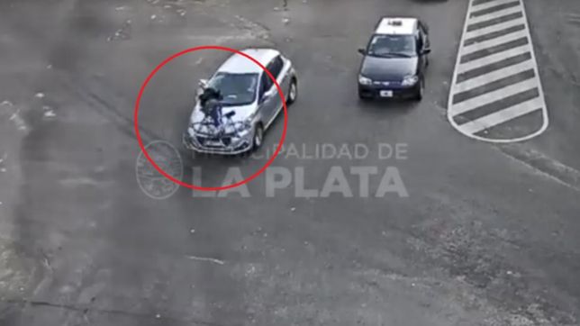impactante accidente en la plata: un auto la choco cuando iba en bici y salio despedida