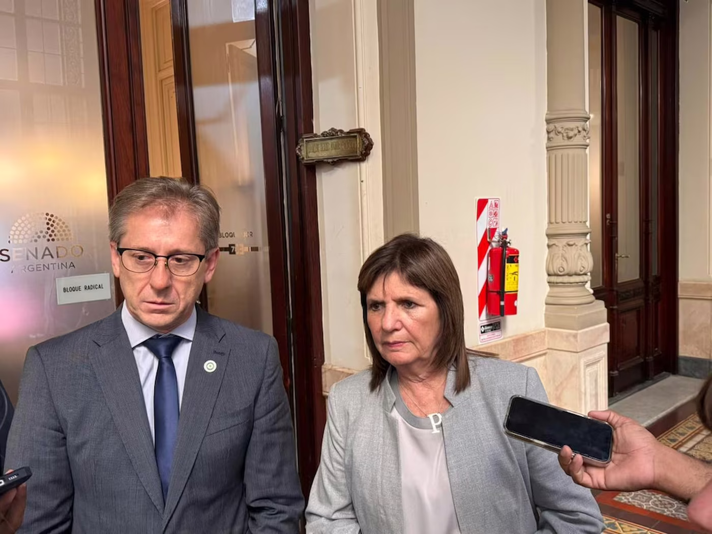 La jefa libertaria en el Senado, Patricia Bullrich, junto a su par del radicalismo, Eduardo Vischi