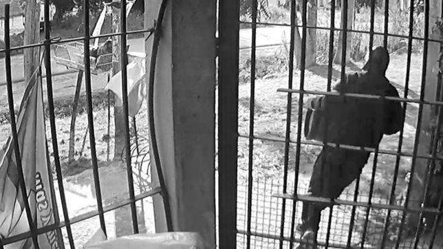 video: en menos de cinco segundos, se metio en un almacen de la plata y robo una garrafa