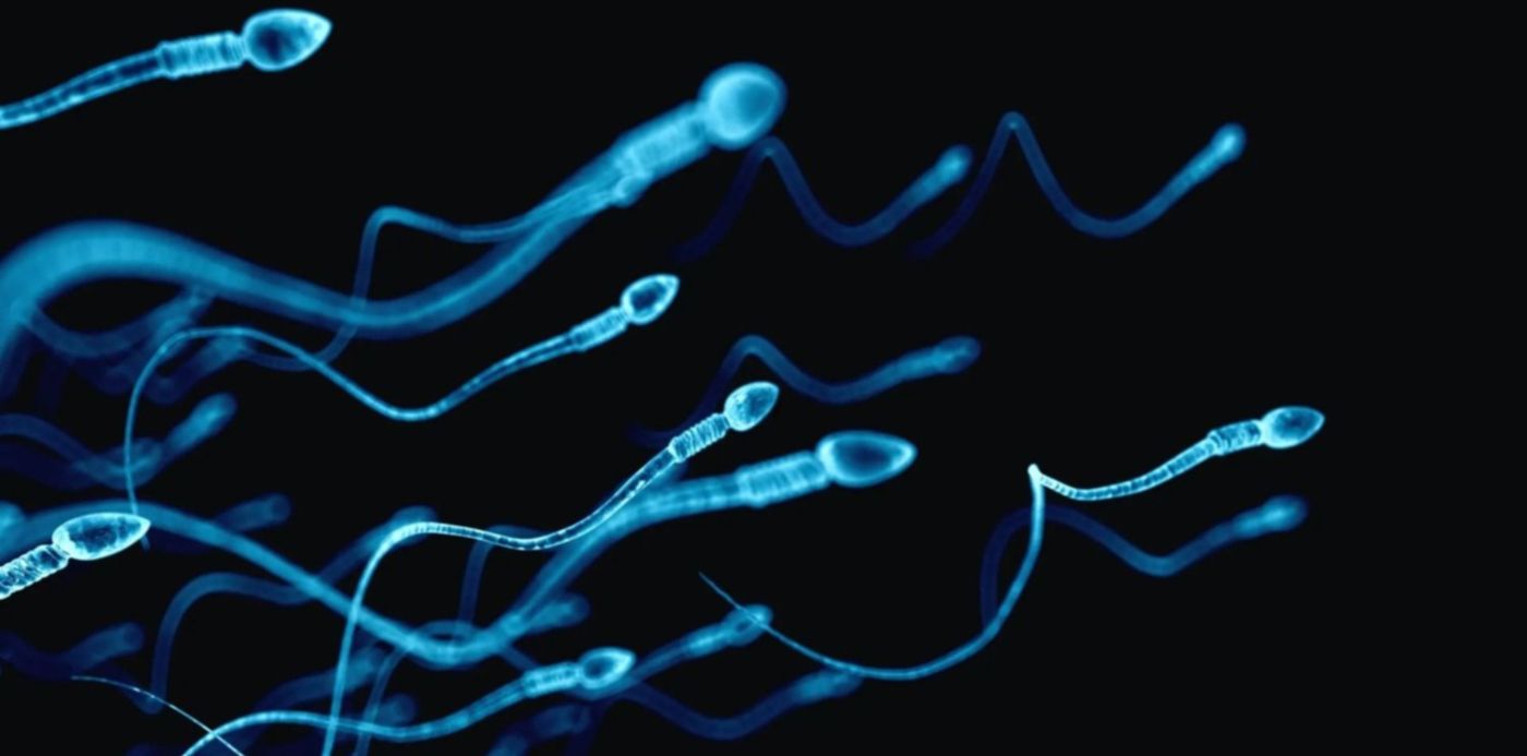 1645632546187.jpg?x=0&y=23&width=1500&height=750&rotate=0&scaleX=1&scaleY=1&ow=1500&oh=1125&&cw=1920&ch=950