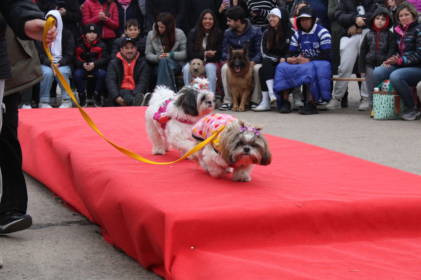 Gran Desfile por Halloween (1)