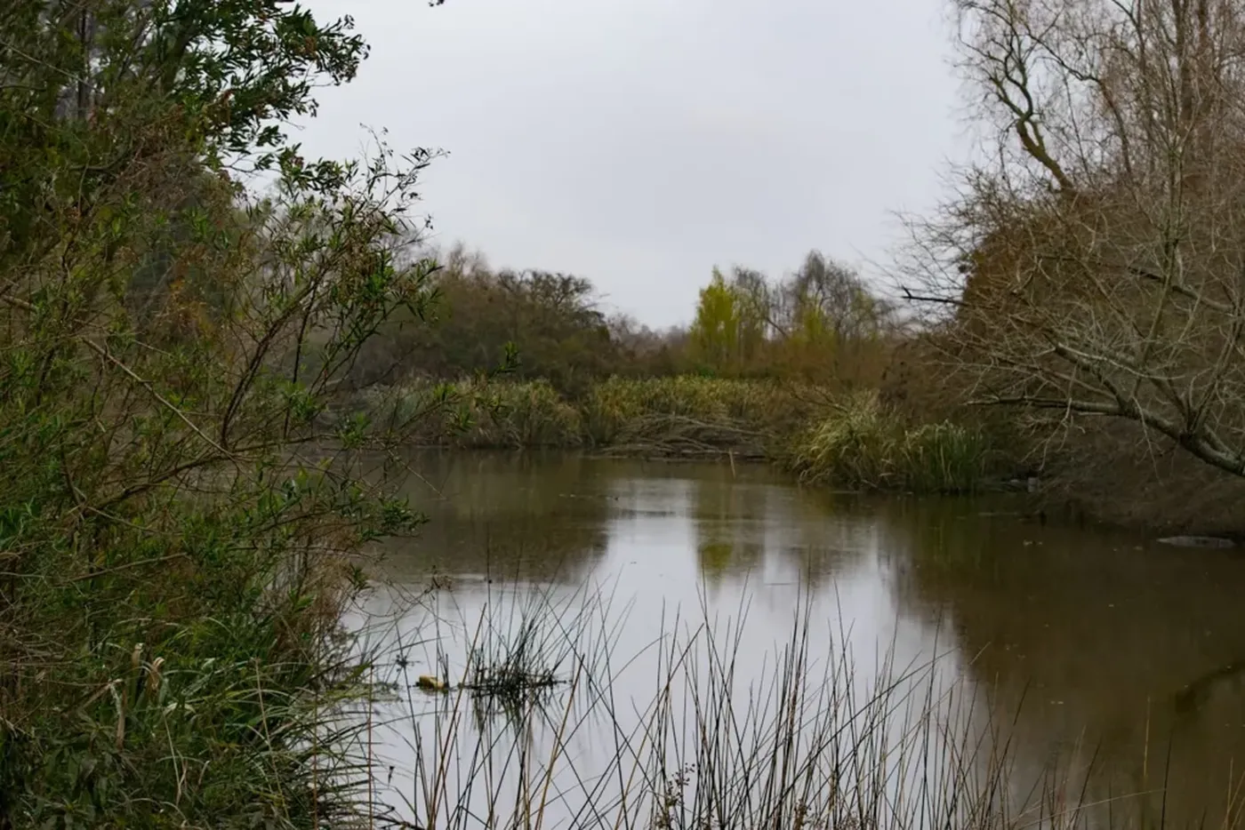 El proyecto prev&eacute; la protecci&oacute;n ambiental del delta del R&iacute;o Santiago, la producci&oacute;n responsable en la zona y oportunidades de desarrollo para la regi&oacute;n