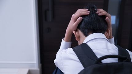 Denuncian a un colegio de La Plata por su inacción ante reiterados casos de bullying contra un nene de 6 años