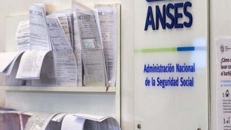 ANSES (3).jpg