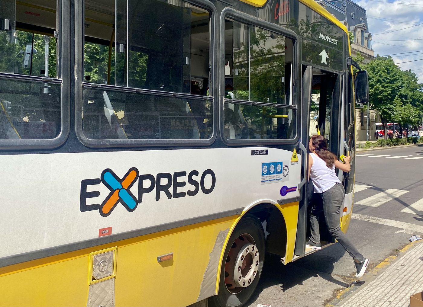 Micros Colectivos (2).jpg