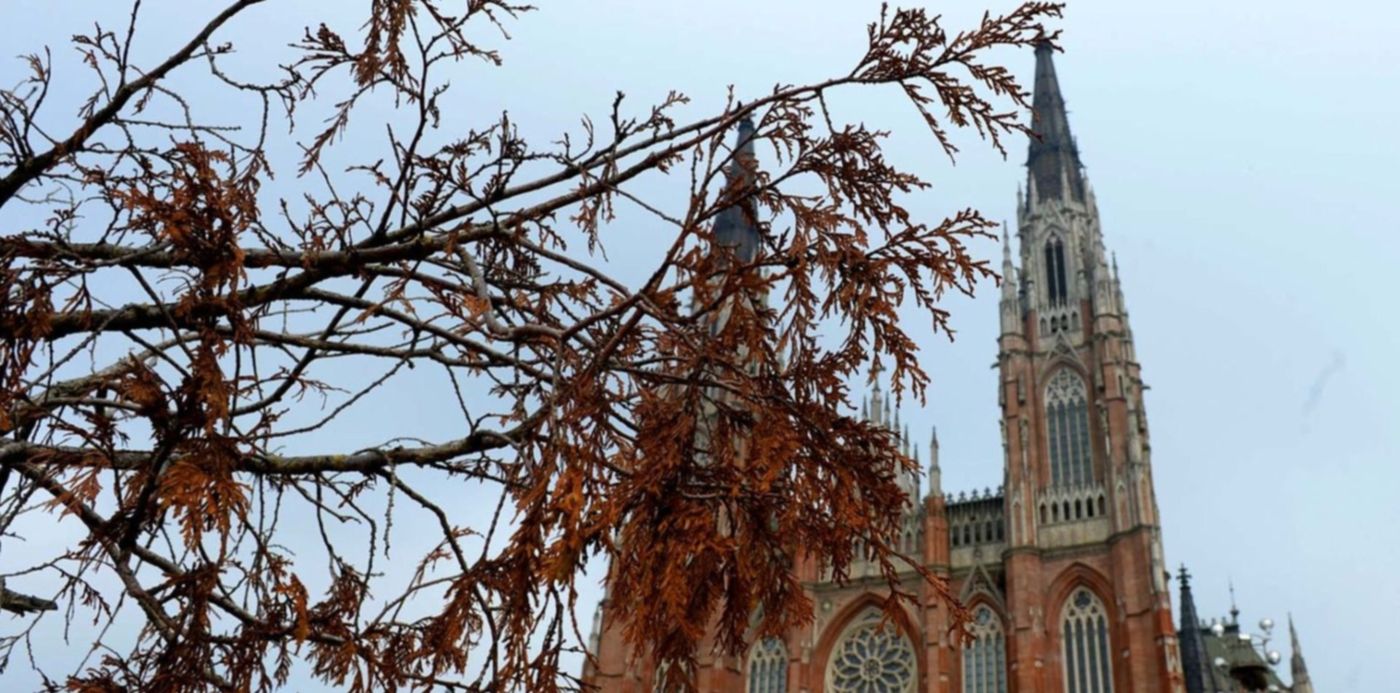 1683630452549.jpg?x=10&y=60&width=1483&height=742&rotate=0&scaleX=1&scaleY=1&ow=1500&oh=1001&&cw=1920&ch=950