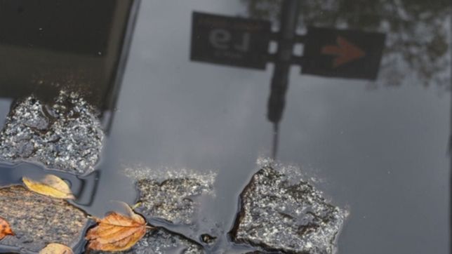 pavimentar el empedrado historico de la plata costaria mas de 250 millones de pesos