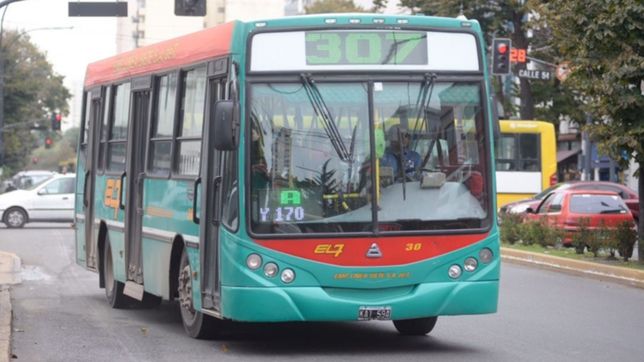 pinas, robo y escandalo arriba de un colectivo de la linea 307 en ensenada