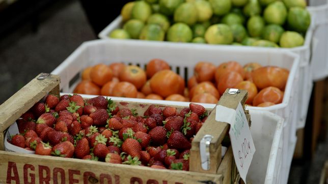 ¿que carnicerias, pollajerias y verdulerias tienen descuentos con cuenta dni?