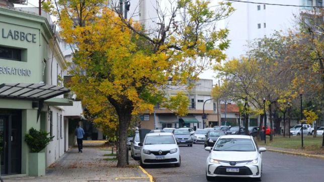 el frio y la humedad se imponen en el cierre de la semana en la plata