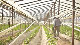 una banda amenazo y asalto a una pareja de quinteros en la plata una banda amenazo y asalto a una pareja de quinteros en la plata