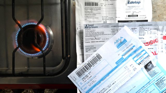 los gastos de luz, gas, agua y transporte aumentaron 600% desde asumio javier milei