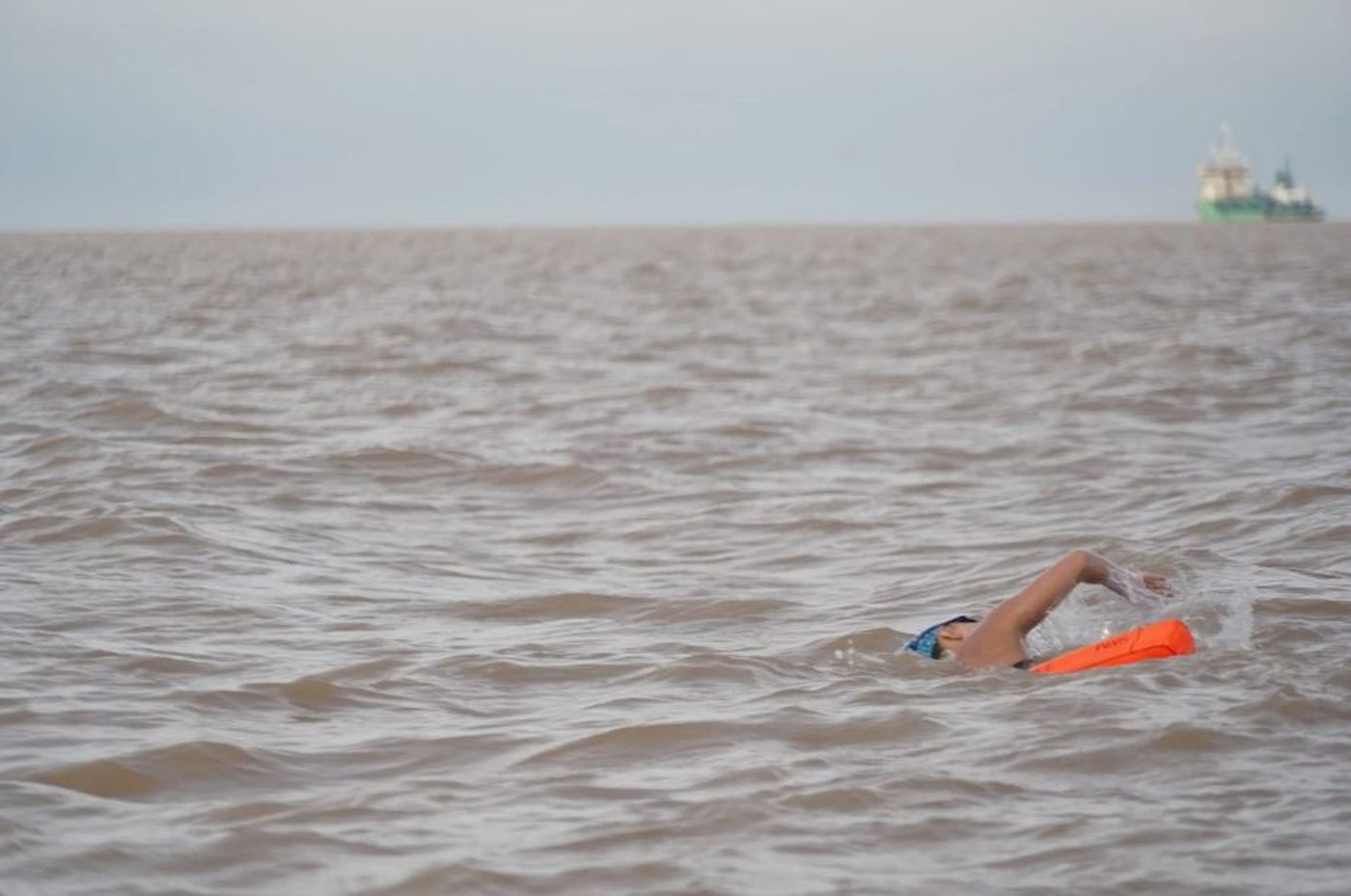Nadador Río de la Plata.JPG