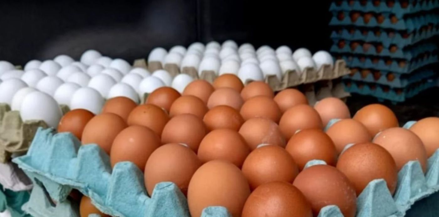 1677423790045.jpg?x=9&y=63&width=1176&height=588&rotate=0&scaleX=1&scaleY=1&ow=1200&oh=900&&cw=1920&ch=950