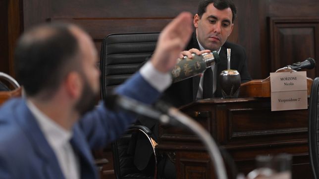 el pro definio que relacion tendra con la libertad avanza en el concejo deliberante