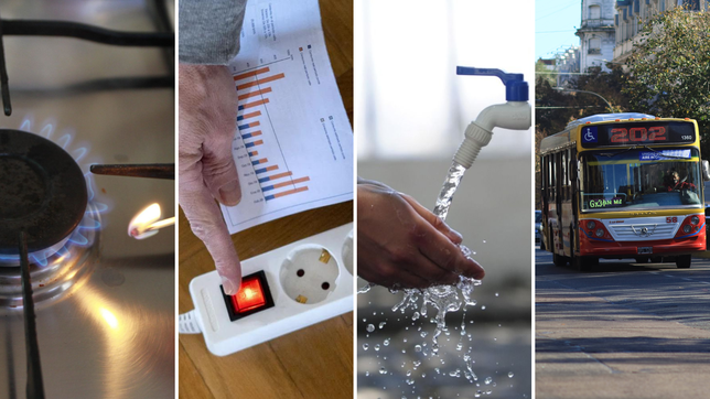 las tarifas de los servicios publicos subieron casi tres veces mas que la inflacion en 2024