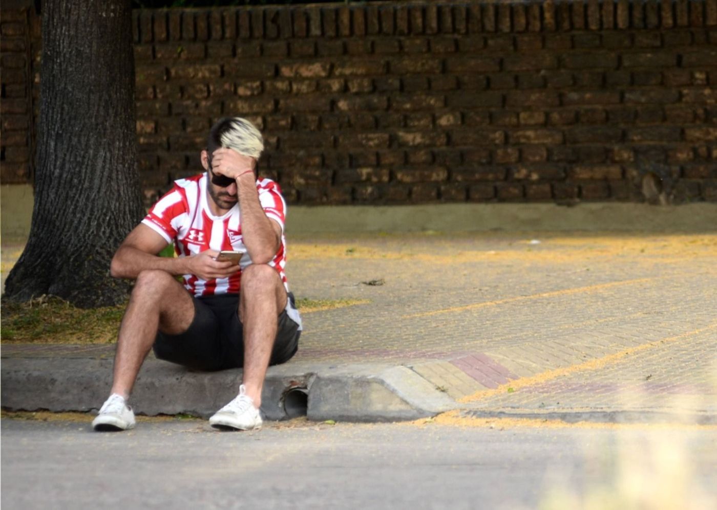 alejandro sabella