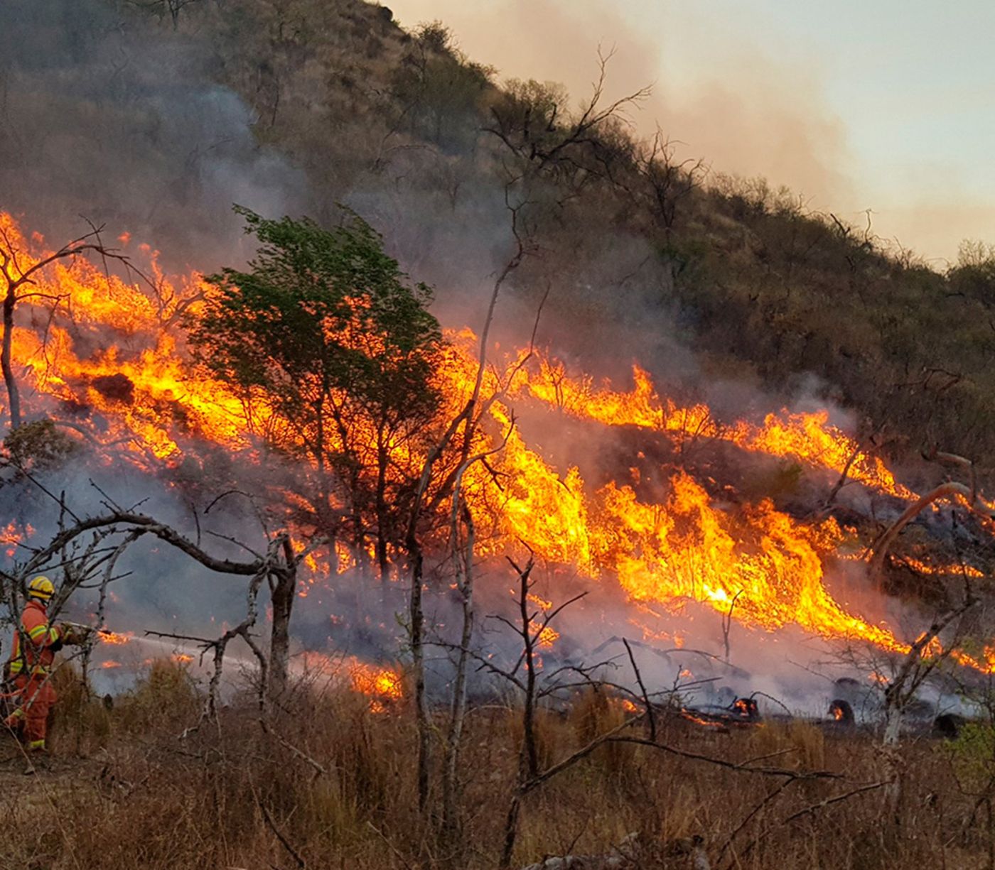 Un joven de 27 años hizo una fogata para hacer café, perdió el control y generó un importante incendio forestal que intentan controlar.