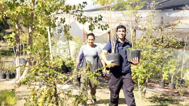 ceibos, fresnos y aromos: entregaron arboles nativos a los vecinos en el parque ecologico