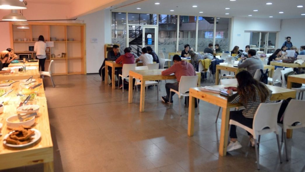 Cómo funcionan, qué ofrecen y cuánto sale comer en los buffet de las facultades de la UNLP