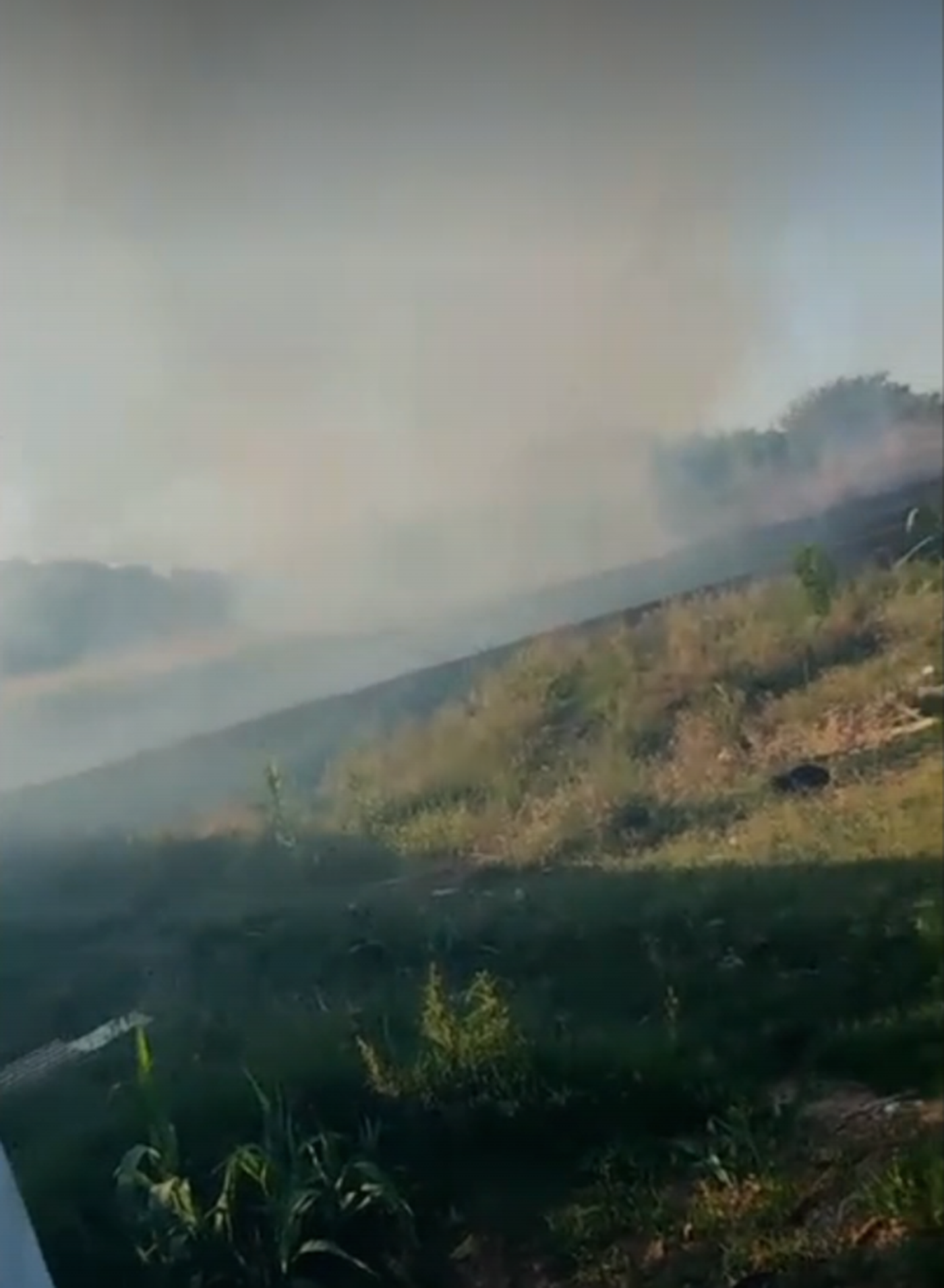 El incendio de pastizales en San Carlos avanz&oacute; rapidamente y se acerc&oacute; a las casas de los vecinos