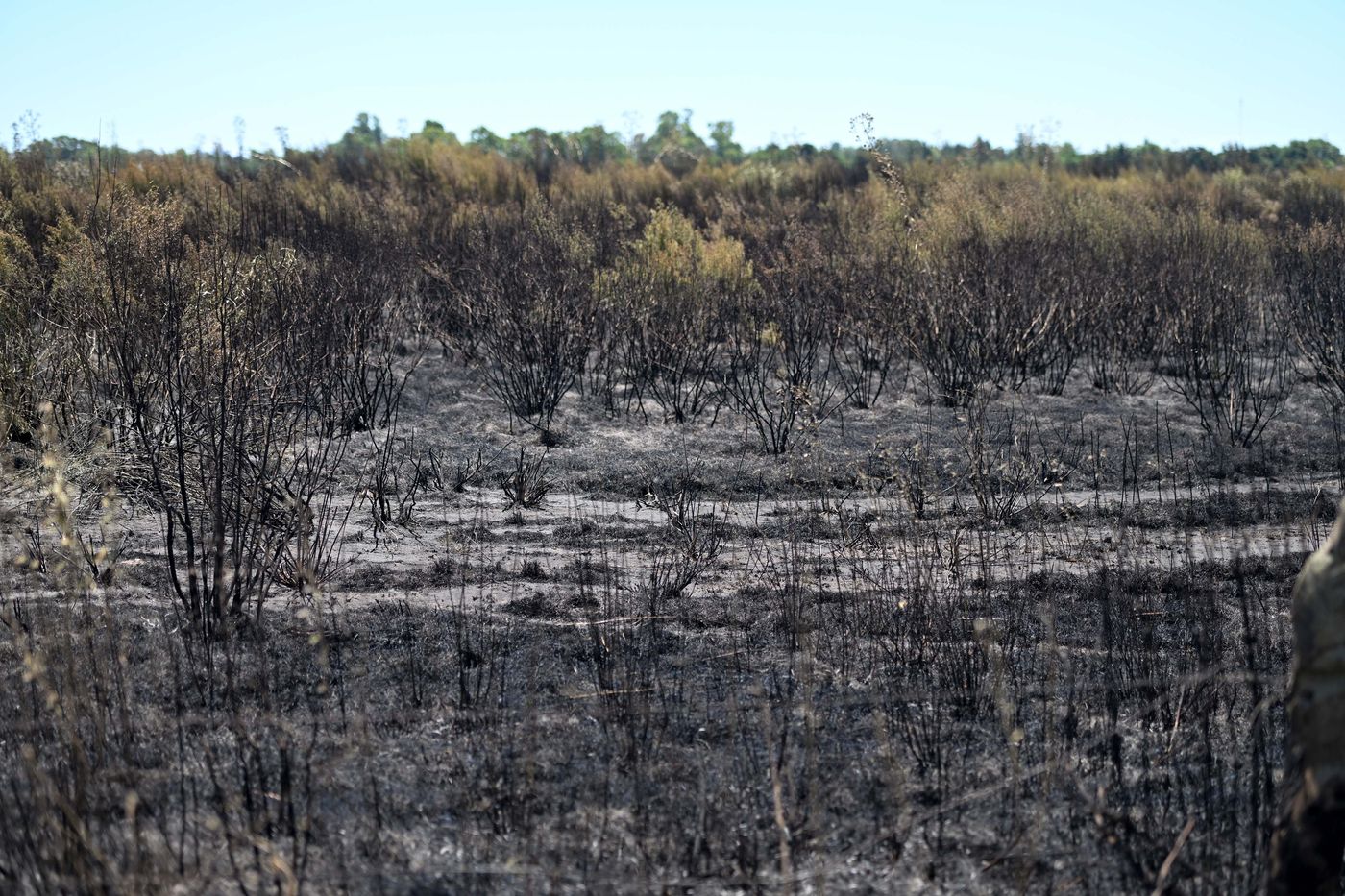 Así quedó la cantera de Altos de San Lorenzo, incendiada el 30 de diciembre último