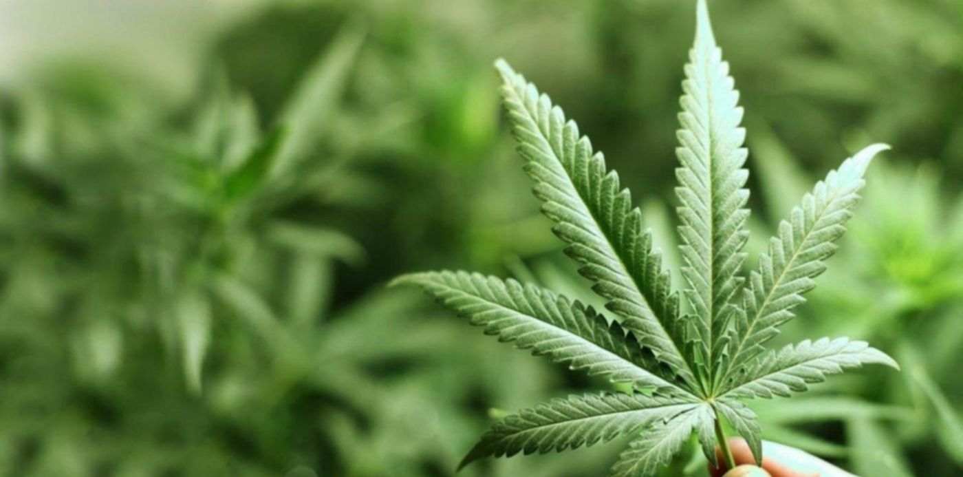 1537539588200.jpg?&cw=1920&ch=950